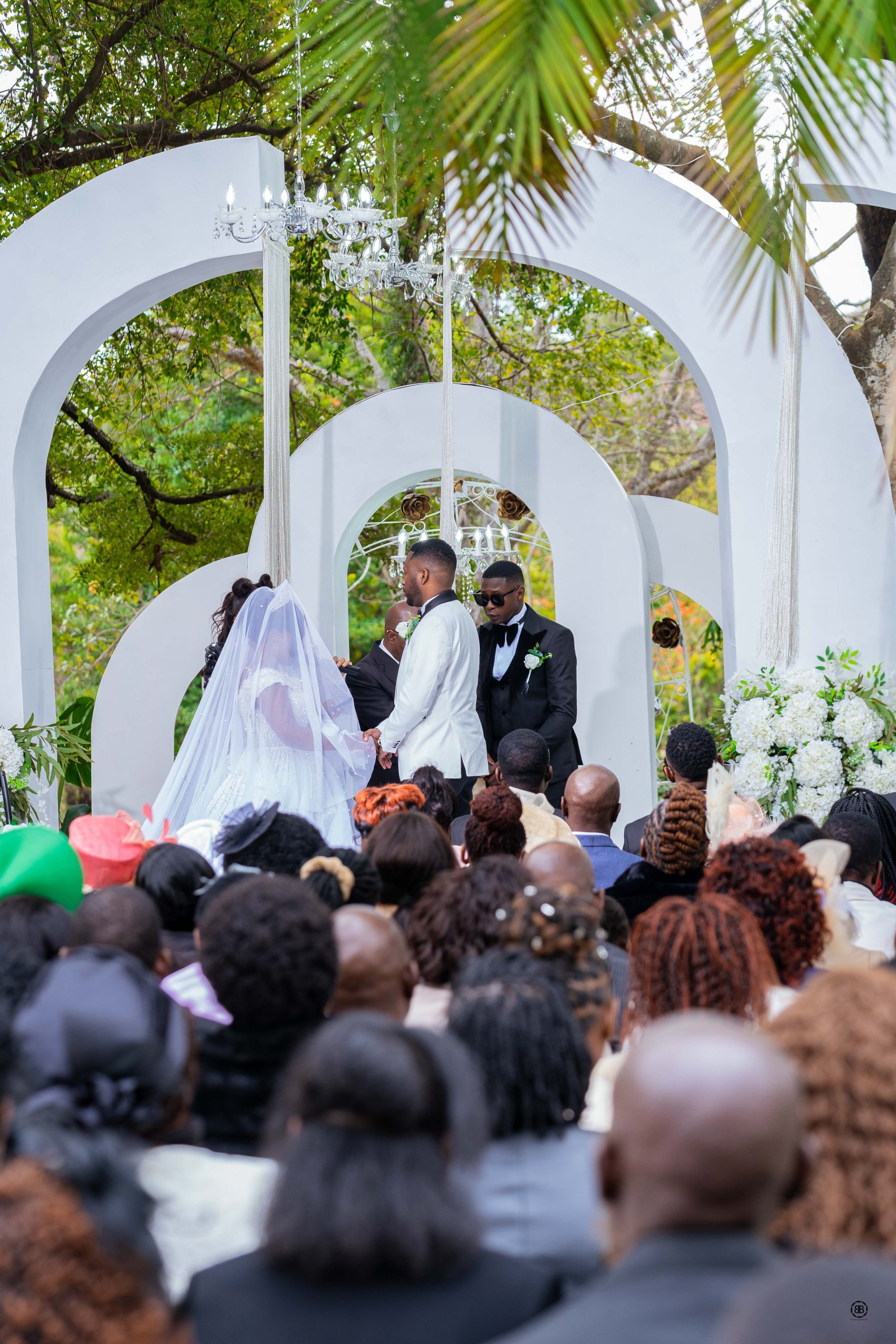 dsc02513 bbphotography